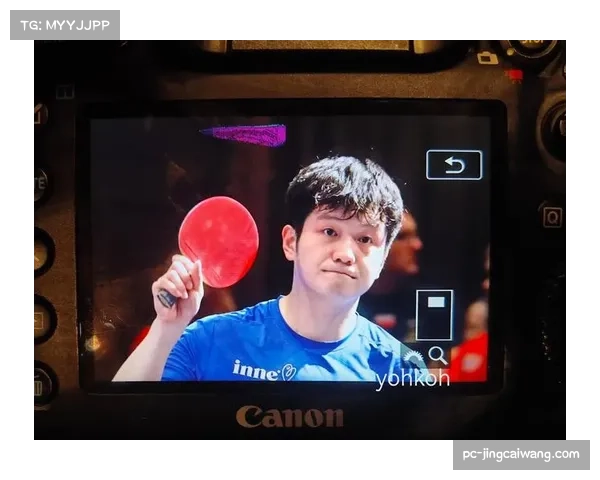 乒乓球欧冠看台文化：德国球迷热情助威，创欧冠乒乓球赛上座纪录