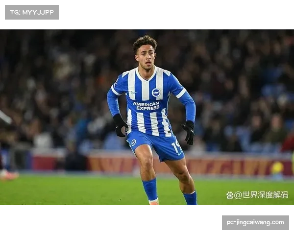 布莱顿对阵伯恩利,主胜概率达67.5% 布莱顿对阵伯恩利,主胜概率达67.5%